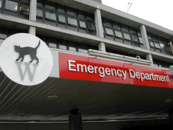 Plan your route into your next Emergency Medicine Role